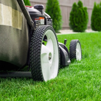 Mowing
